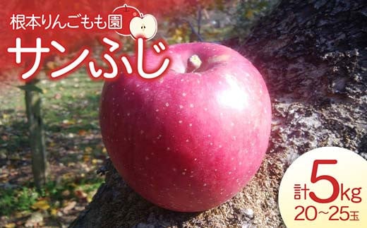 
【先行予約】サンふじ 5kg （20～25玉） りんご リンゴ フルーツ 果物 福島県 鏡石町 F6Q-127
