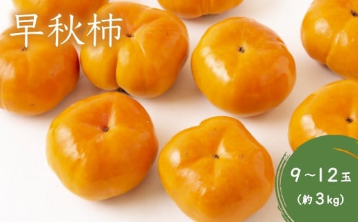 
P231【先行予約】西見柿農園 早秋柿 9～12玉 (約3kg) 10月上旬～10月中旬お届け
