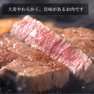 【定期便3カ月】近江牛 ステーキ 食べ比べ ロース・ヒレ 計300g（各150g計2枚）A4/A5 月1回３ヵ月間お届け 牛長商会 みんなのお肉本舗