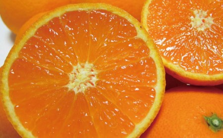【2025年2月下旬～3月下旬順次発送予定】有田育ちの完熟清見オレンジ(ご家庭用)　約7.5kg【ard018A】