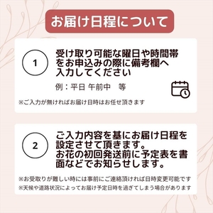 「毎月」届く、旬のお花（12回/1年間）