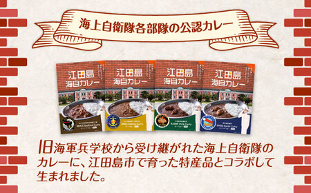 【7月下旬より発送】ご当地カレー！海上自衛隊公認！マグカップ付き江田島海自カレー 4種 オリジナルセット シーフード キーマ 豚肉 牡蠣 レトルト 保存食 簡単 レシピ 江田島市/江田島商工会(e's