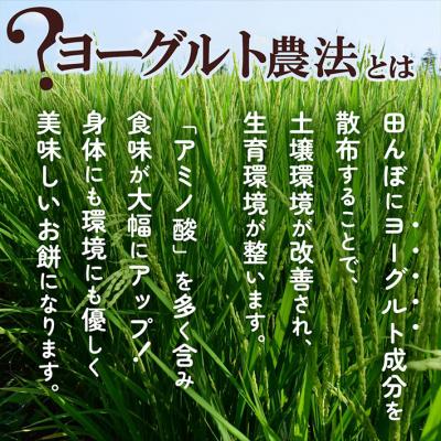 ふるさと納税 庄内町 【12月発送】梅木もち屋 庄内産『でわのもち』を使用した杵つき餅 380g×3袋 個包装 丸もち |  | 03