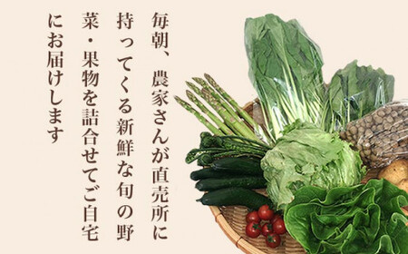 直売所から直送 旬の野菜・果物セット 3回コース 6～10品 ［小布施屋］定期便 野菜 やさい 果物 フルーツ 詰め合わせ 詰合せ  令和8年産【2026年6月 7月 8月 各月1回発送】 ［A-70