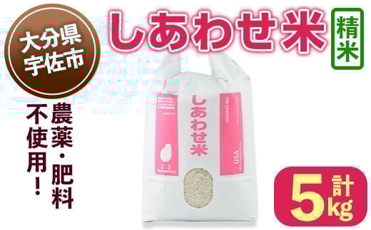 しあわせ米 精米(計5kg) お米 白米 5キロ 常温 常温保存 【101000501】【宇佐本百姓】