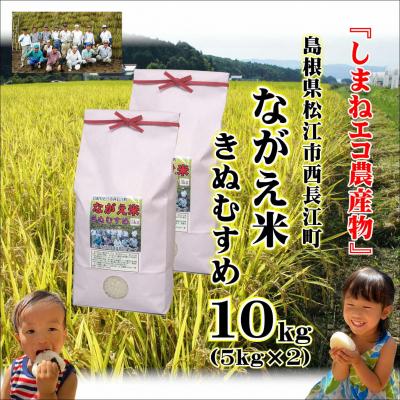 ふるさと納税 松江市 令和7年産・松江市「ながえ米」きぬむすめ10kg(5kg×2)