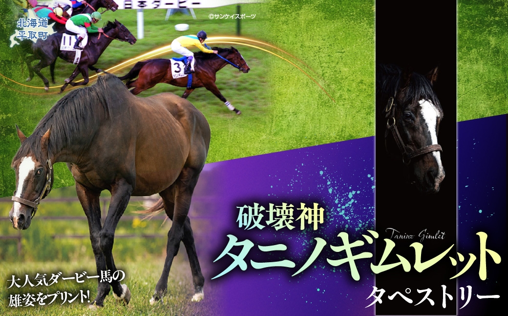 
                  【破壊神タニノギムレット】タペストリー 【 ふるさと納税 人気 おすすめ ランキング 馬 競馬 競走馬 引退馬 タニノギムレット タペストリー 飾り物 生活 日用品 日高 北海道 平取町 びらとり 送料無料 】 BRTV116
                