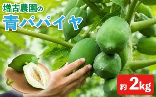 青パパイヤ 先行予約 2kg (約4~5玉) パパイヤ サラダ 野菜 フルーツ トロピカル トロピカルフルーツ ポリフェノール パパイン 漬物 酵素 パパイヤチャンプルー パパイヤイリチー しりしり 青パパイヤのサラダ 食物繊維 ふるさと納税 送料無料 茨城県 鹿嶋市 【2026年9月下旬以降発送】