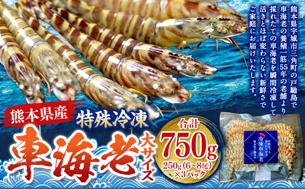 
            特殊冷凍 車海老 （大サイズ） 約750g（18～24尾）3パック エビ 海老 えび クルマエビ 車エビ 養殖 瞬間冷凍
          