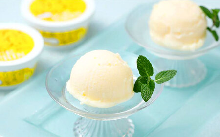 アイスクリン×６個 | 高知アイス 土佐の夏 Made in 土佐