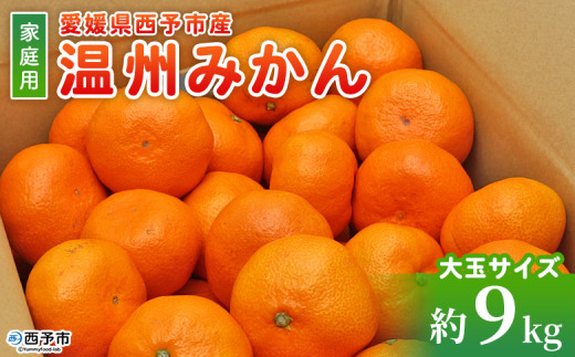 先行予約＜愛媛県西予市産 温州みかん 大玉サイズ 家庭用 約9kg＞ 愛媛県産 西宇和 大玉 大きめ 家庭用 果物 フルーツ 柑橘 うんしゅうみかん ウンシュウミカン オレンジ ミカン 蜜柑 訳あり 小林果園 愛媛県 西予市【常温】