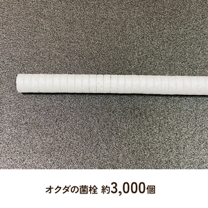 初心者用 しいたけ 栽培キット お手軽 植菌棒+錐+発砲栓 栽培 兵庫県 洲本市 淡路島