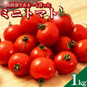 甘い ミニトマト 1kg 国産 送料無料 【 ミニトマト 】