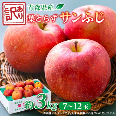 【ふるさと納税】【訳ありりんご】葉とらずサンふじ約3kg(お試し用)【配送不可地域：離島・沖縄県】【1466365】