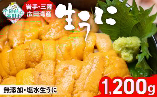 6/30まで特別価格 【事業者緊急支援品】 生うに 1200g (200g×6パック) 塩水パック 獲れたその日に出荷！ 【 ムラサキウニ 無添加 濃厚 天然 ミョウバン不使用 数量限定 三陸産 】 RT1627