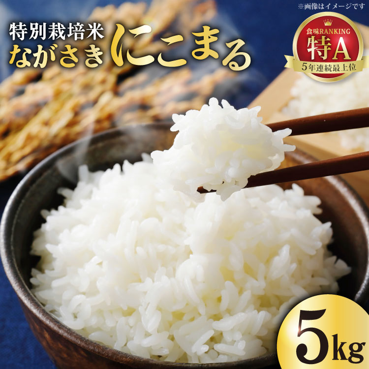 【ふるさと納税】 CA023 米 特別栽培米 ながさきにこまる 5キロ [ 白米 精米 ごはん ご飯 こめ おこめ もちもち おにぎり 粘り おいしい 長崎県産 長崎県産米 長崎にこまる 長崎県 島原市 ]