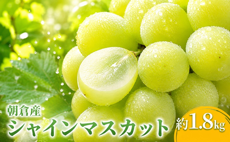 シャインマスカット マスカット ぶどう 1.8kg 2027年 発送 葡萄 ブドウ フルーツ 果物 くだもの デザート 筑前あさくら農協 配送不可 離島 