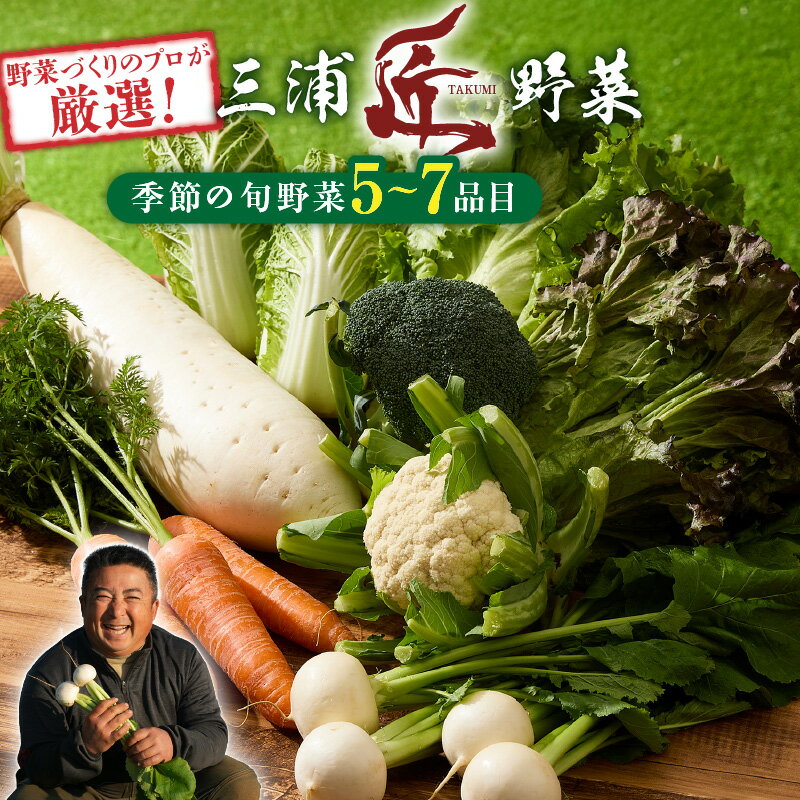【ふるさと納税】 三浦の匠野菜 セット 野菜 かぶ 大根 サニーレタス ブロッコリー カリフラワー キャベツ 季節の野菜 旬 三浦かぶ 三浦大根 詰め合わせ 詰合せ 期間限定 限定 新鮮 ピーカブー 神奈川県 三浦市 おすすめ ランキング プレゼント ギフト