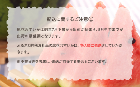 先行予約 尾花沢産すいか 3Lサイズ 約8kg×2玉 7月中旬～8月中旬頃発送 令和6年産 2024年産 農産加工 ※沖縄・離島への配送不可 nk-su3xx2