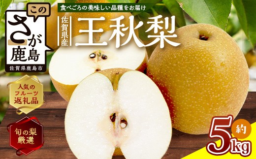 王秋梨 約 5kg 【2026年発送】佐賀県産 | ふるさと納税 梨 なし 果物 フルーツ 果実 贈答用 お取り寄せ ギフト 国産 佐賀県産 佐賀県 鹿島市 ふるさと 人気 送料無料 おくりもの プレゼント
