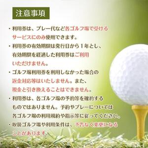 豊田市ゴルフ場利用券1枚（市内16ゴルフ場利用可）