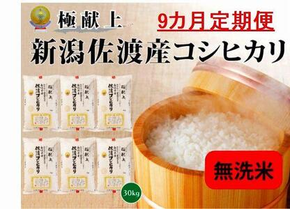 無洗米30kg 新潟県佐渡産コシヒカリ30kg(5kg×6)×9回「9カ月定期便」