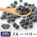 【ふるさと納税】ブルーベリー 600g (100g×6パック入り) 紀のファーム株式会社 《2025年5月中旬-8月中旬頃出荷》 和歌山県 紀の川市