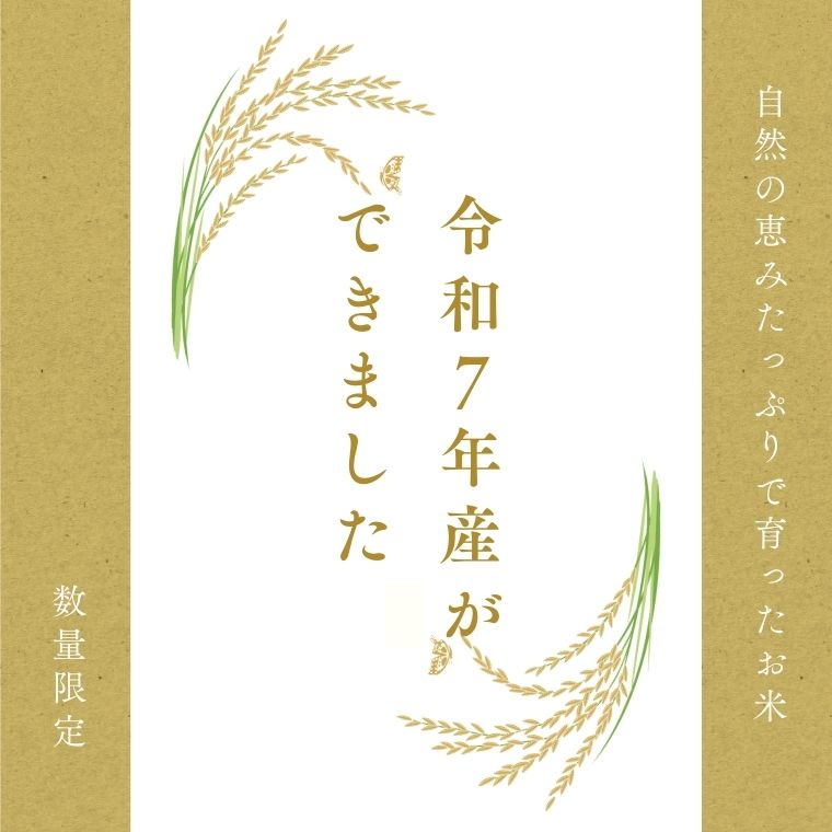 G30-09 L7 令和7年産 ハツシモ米【白米】27kg_イメージ4