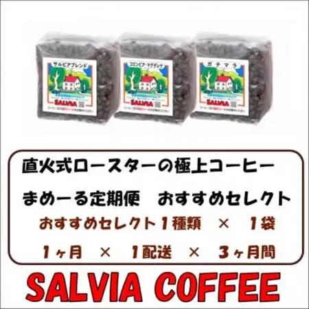 【毎月定期便】まめーる店主おすすめセレクト200g【粉】全3回【4053862】