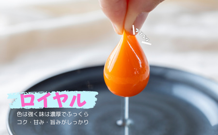 【定期便】3回定期【天王原のたまご】ロイヤル卵 30個入り