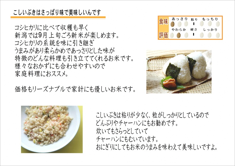 お米マイスターいち押し！！【令和7年産】新潟産こしいぶき 5kg  1I28010