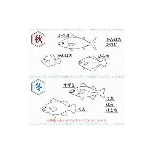 【 海鮮 】 海鮮定期便6ヶ月