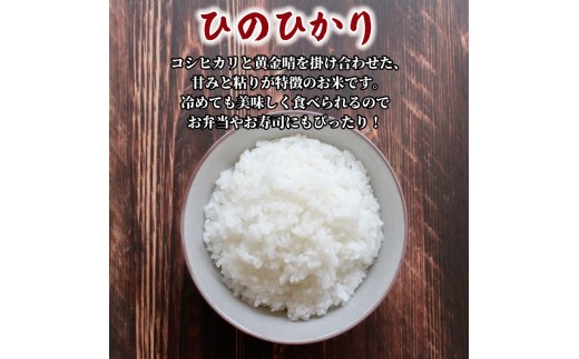 米 5kg 白米 精米 新米 コメ お米 ヒノヒカリ こめ ごはん ご飯 ライス 予約 先行予約 先行受付 令和7年度産 コシヒカリ 黄金晴 ブランド米 香川県 丸亀市 配送：2025年11月～