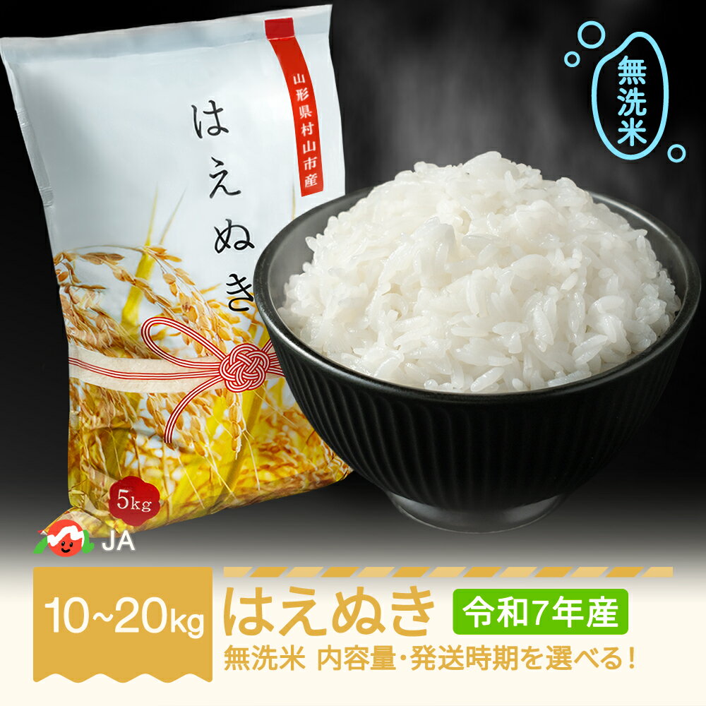 【ふるさと納税】お米 10kg 15kg 20kg はえぬき 無洗米 令和7年産 2025年産 選べる内容量 山形県村山市産 送料無料 ※沖縄・離島への配送不可