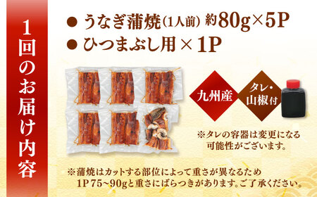 【全3回定期便】 うなぎの蒲焼 約80g×5Pとひつまぶしの贅沢セット 桂川町/山水商事 [ADAH026] うなぎ うなぎ蒲焼 ひつまぶし 
