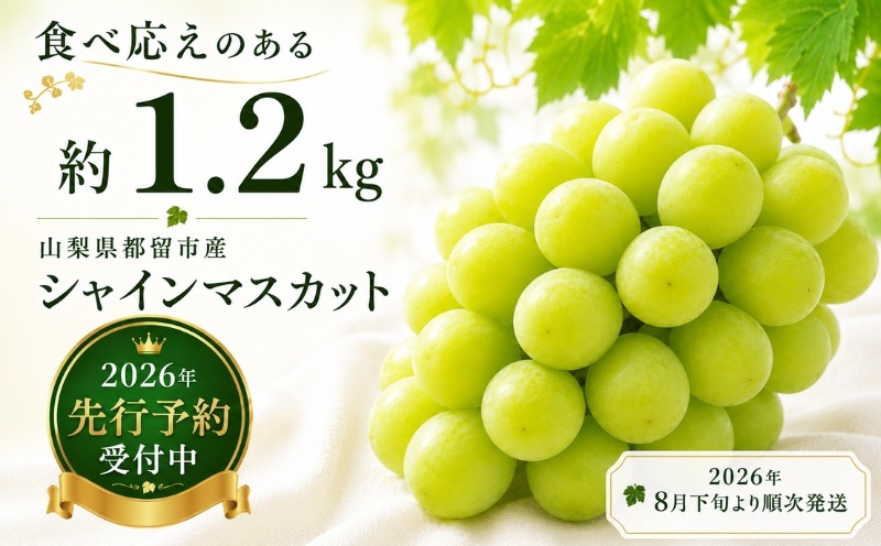 【2023年 先行予約】山梨県産　シャインマスカット 1.2kg (２房～3房) 数量限定