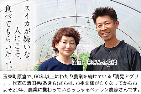 『清晃アグリ』のすいか 1玉約6～7kg 熊本県玉名郡玉東町『清晃アグリ』すいか フルーツ 果物 熊本県産《4月下旬-5月下旬頃出荷》｜人気スイカ ブランドスイカ 特産スイカ 熊本県スイカ 玉東町スイ