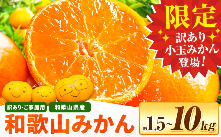 
                  果物人気ランキングランクイン みかん訳あり 濃厚 和歌山 みかん選べる内容量 約1.5kg 約1.8kg 約5kg 約10kg《2026年11月上旬12月末頃出荷(土日祝を除く)》小玉 小玉 みかん 和歌山県 日高川町 柑橘類 柑橘 果物 フルーツ ミカン 訳ありみかん 家庭用 お試し 大容量 お取り寄せフルーツ みかん 5kg みかん 10kg 年内
                