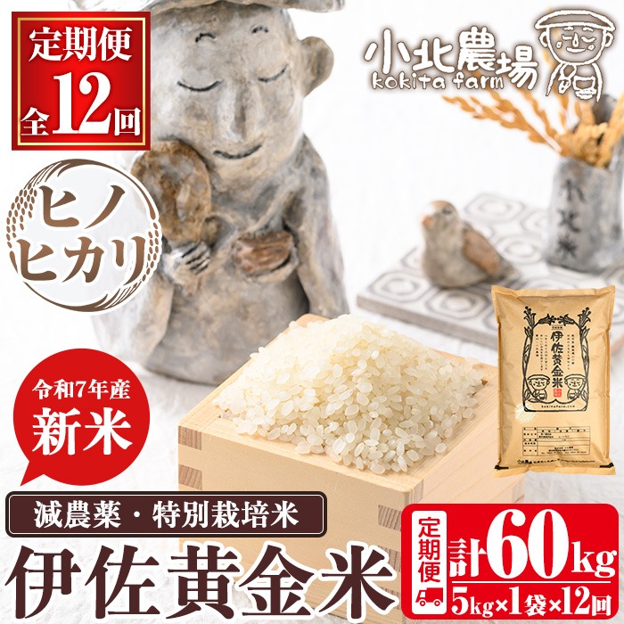 isa603 ＜先行予約受付中！2025年10月より順次初回発送＞《数量限定・12回定期便》令和7年産 小北農場の新米 伊佐黄金米〈ヒノヒカリ〉(計60kg・5kg×1袋×12回)　 鹿児島 伊佐 新米 お米 特別栽培米 伊佐米 白米 ヒノヒカリ ひのひかり おにぎり ごはん 【小北農場】