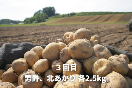 野菜 定期便 3回便【令和9年産予約受付】北海道野菜 新鮮な野菜 詰め合わせ 北海道 黒木農場