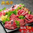 【ふるさと納税】A4ランク以上 但馬牛 焼肉用 3種 食べ比べ セット 計600g 送料無料 やきにく 牛肉 お肉 イチボ ランプ バラ 各200g 黒毛和牛肉 チルド 焼き肉セット 赤身 霜降り 肉 焼肉セット 内祝い 国産牛 焼肉 美味しい 兵庫県 冷凍 02-17