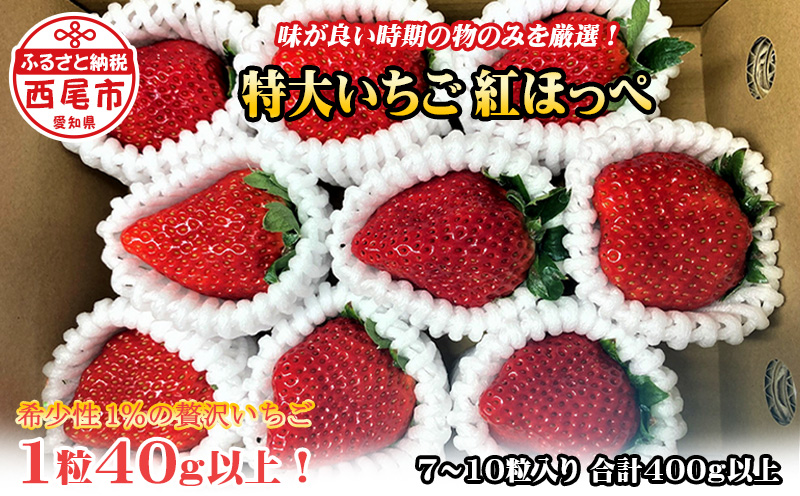 特大いちご(紅ほっぺ)　400g以上(7〜10粒、1粒40g以上)・O036-12 ／オオダケイチゴ 