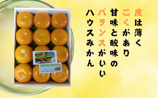 【先行予約！７月以降順次発送】甘いハウスみかん（1.5～5㎏) 3.0kg