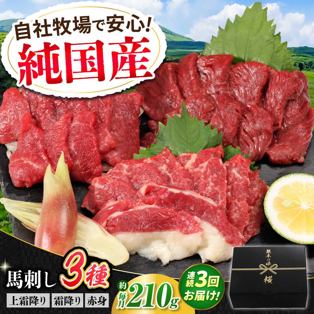 【ふるさと納税】【全3回定期便】『純国産』熊本の味 馬刺し お試し 3種 セット 計約210g（2〜3人前）上霜降り 霜降り 赤身 タレ付【有限会社 九州食肉産業】[AYCN068]