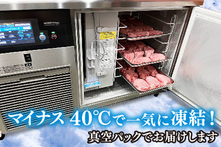佐賀牛ヒレ(180g×6枚)(H107103)