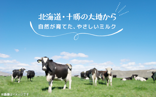 【カントリーホーム風景】牧場てづくりギフト「カウシカ」5種類 合計8点【配送不可地域：離島】