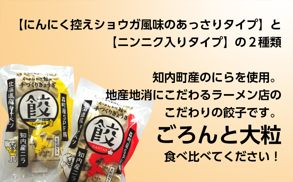 北海道の食材たっぷり！手作り餃子５袋セット スリーエス