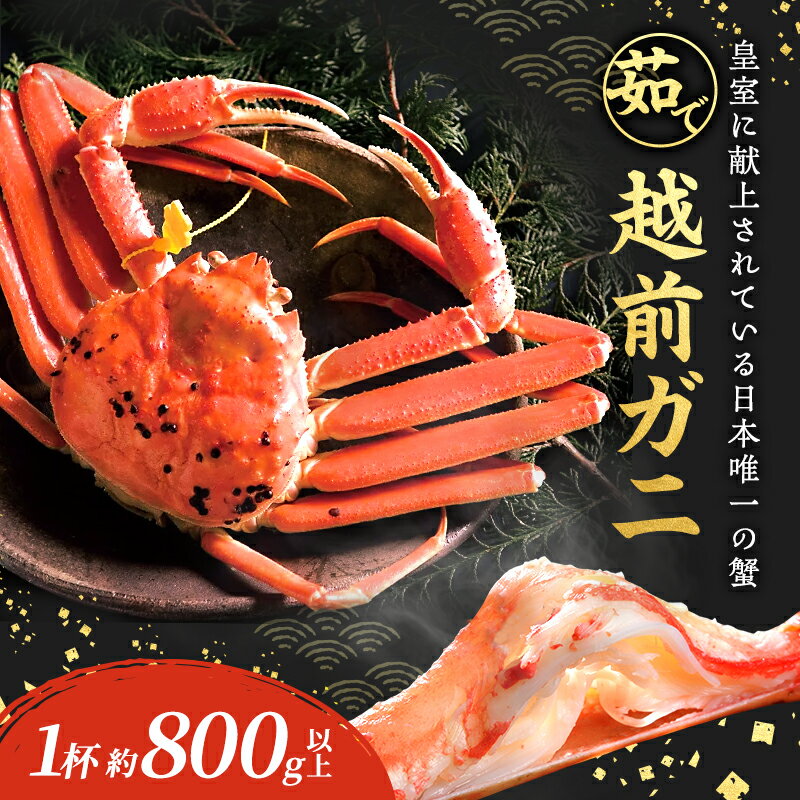 【ふるさと納税】期間限定 茹で 越前ガニ 約800g以上 1杯 配送 食通もうなる本場の味をぜひ、ご堪能ください 越前かに 蟹 カニ ズワイガニ 海鮮 福井県 若狭町　お届け：2025年11月10日～2026年3月31日（年末年始を除く）