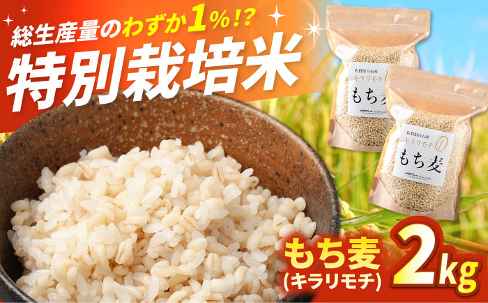 
            もち麦（キラリモチ）2kg 【定松ファーム】佐賀県産 もちむぎ 人気 高評価 九州 佐賀県 白石町 [IBV007]
          