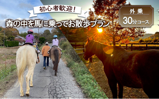 [№5895-0762]初心者歓迎 森の中を馬に乗ってお散歩プラン(30分)  外乗 体験 広島 安芸高田市 エオの谷